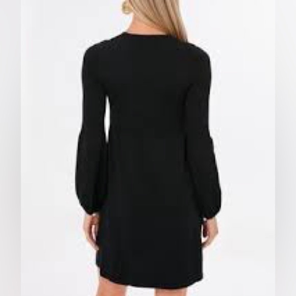 Tuckernuck PomanderPlace,Lennox Mini Dress,Rich Noir,Excellent Condition,Size XL - Picture 4 of 14